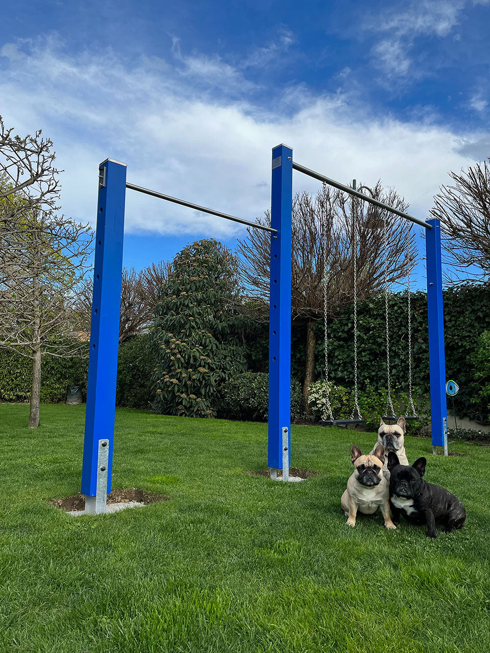 Doppelschaukel-Turnreck - 'Double Dream Flyer II' - MEINE-SCHAUKEL